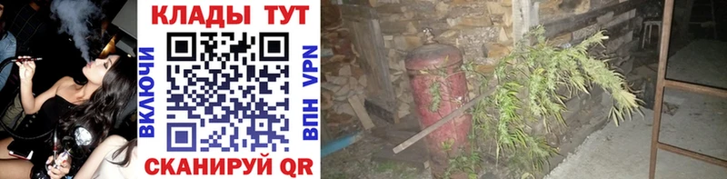 Купить наркотики сайты Шумерля ТГК  ГАШИШ  А ПВП 