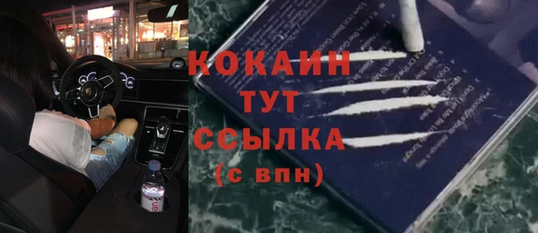 хмурый Абаза