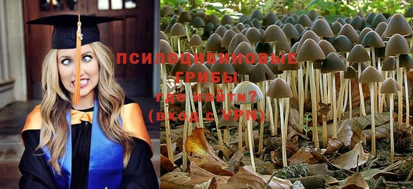 ПСИЛОЦИБИНОВЫЕ ГРИБЫ Ростов