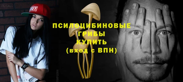 хмурый Абаза