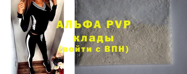 PSILOCYBIN Рославль