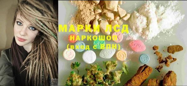 хмурый Абаза
