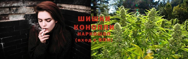 хмурый Абаза
