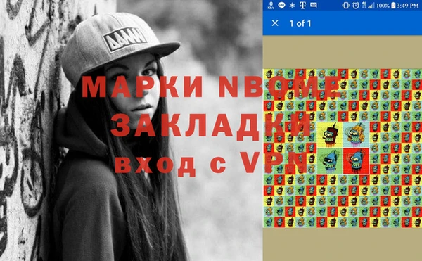 хмурый Абаза